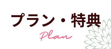 プラン・特典